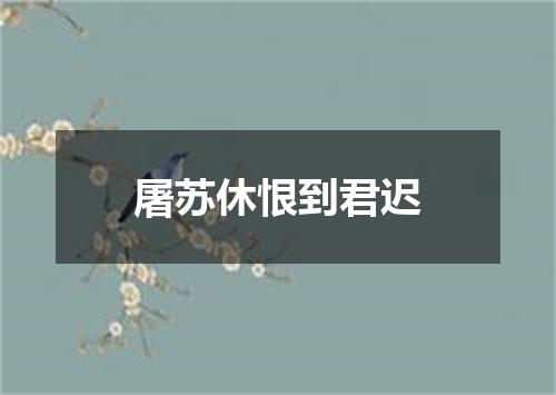 屠苏休恨到君迟