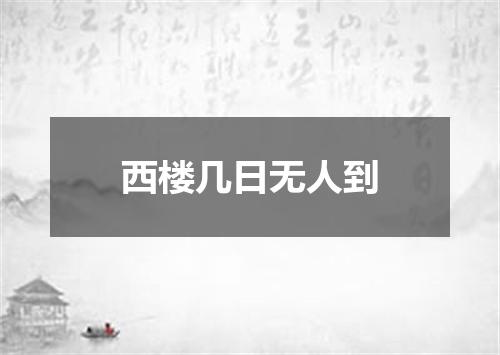 西楼几日无人到