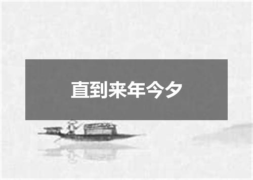 直到来年今夕