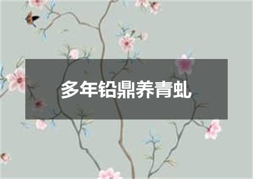 多年铅鼎养青虬