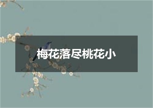 梅花落尽桃花小