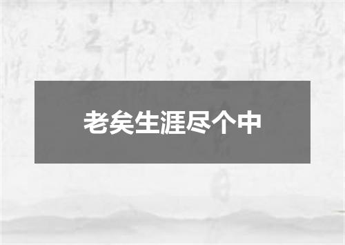 老矣生涯尽个中