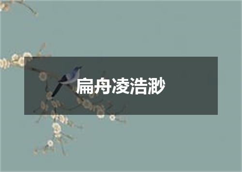 扁舟凌浩渺