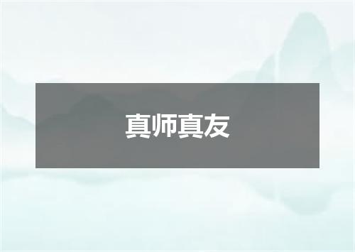 真师真友