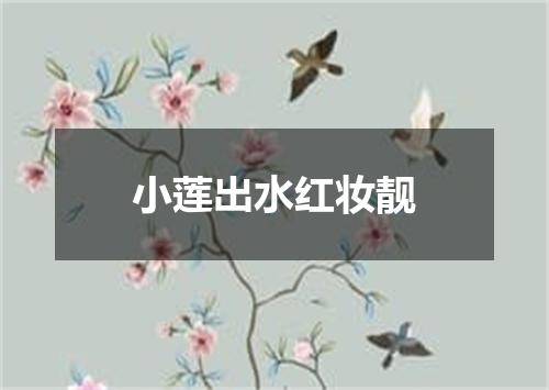 小莲出水红妆靓