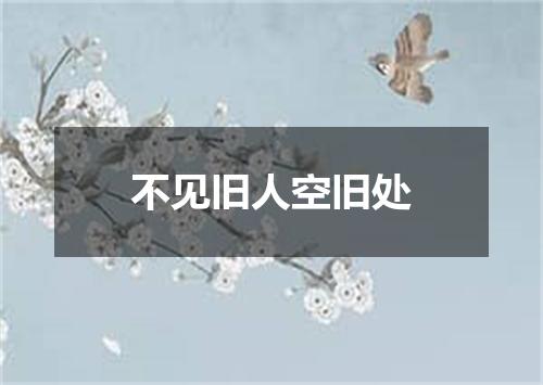 不见旧人空旧处