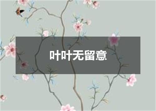 叶叶无留意