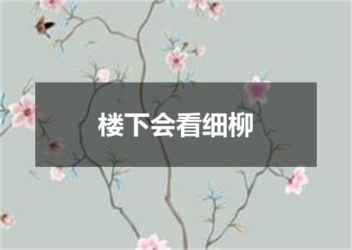 楼下会看细柳