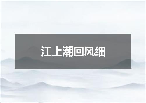 江上潮回风细