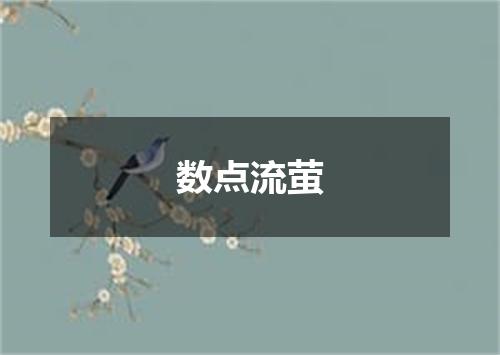 数点流萤