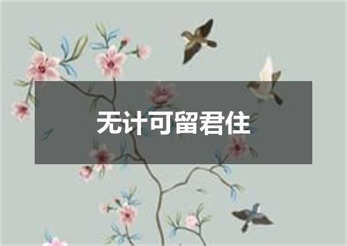 无计可留君住