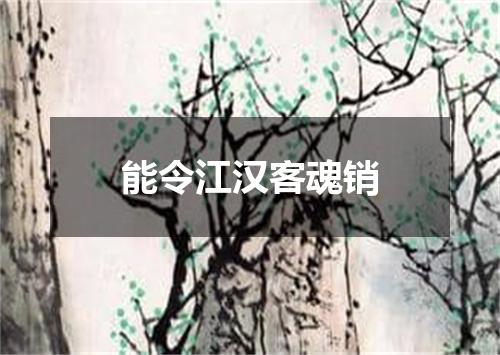 能令江汉客魂销