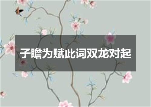 子瞻为赋此词双龙对起