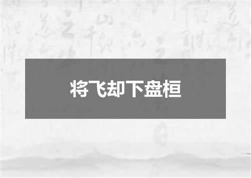 将飞却下盘桓