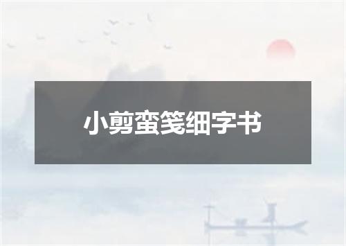 小剪蛮笺细字书