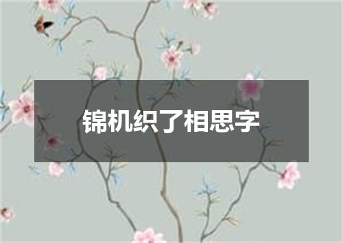 锦机织了相思字