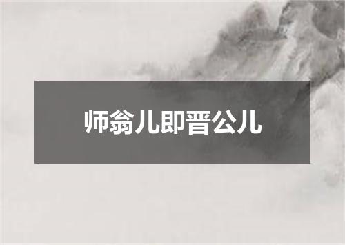 师翁儿即晋公儿