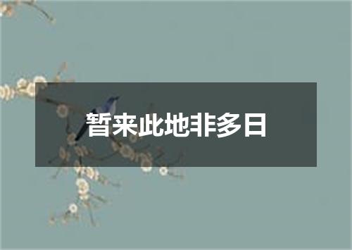 暂来此地非多日