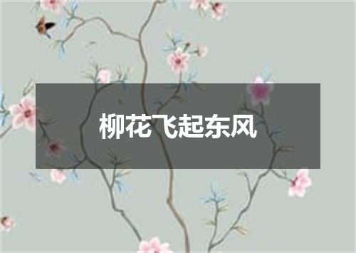 柳花飞起东风