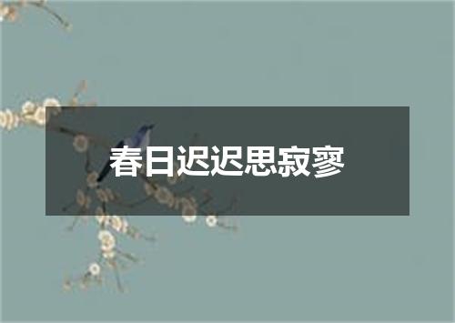 春日迟迟思寂寥