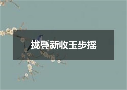 拢鬓新收玉步摇