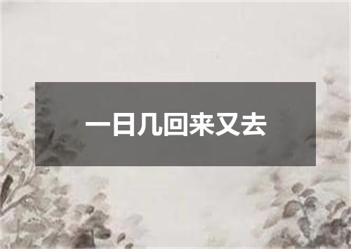 一日几回来又去