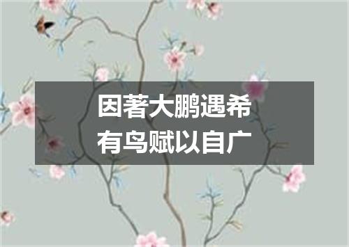 因著大鹏遇希有鸟赋以自广