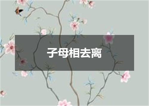 子母相去离