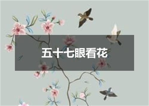 五十七眼看花