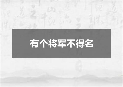 有个将军不得名