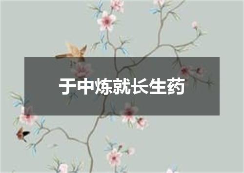 于中炼就长生药