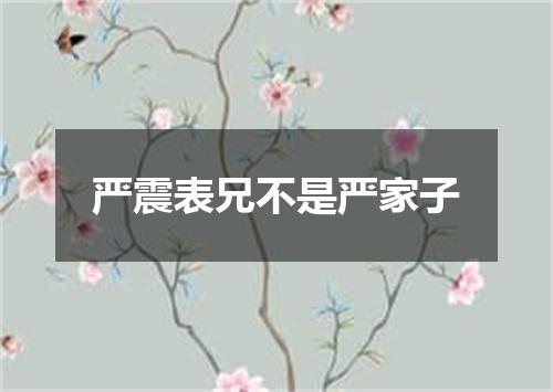 严震表兄不是严家子