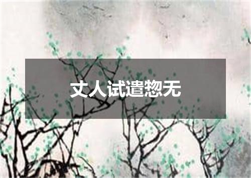 丈人试遣惣无