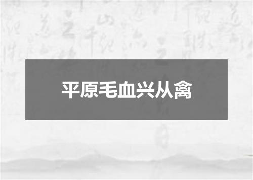 平原毛血兴从禽