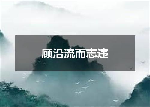 顾沿流而志违