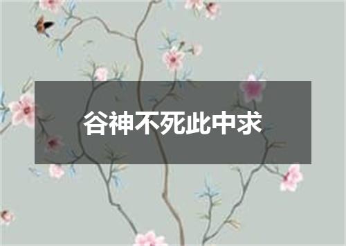 谷神不死此中求