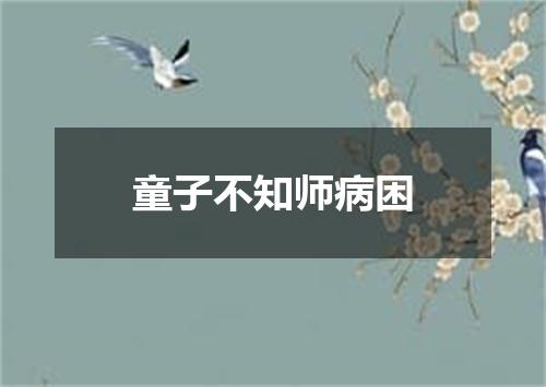 童子不知师病困