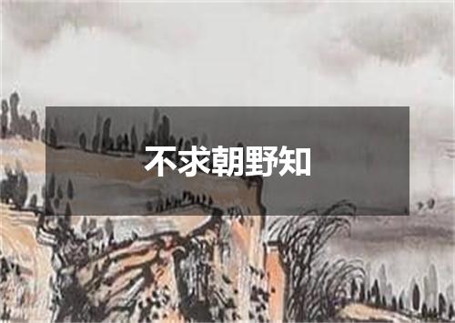 不求朝野知