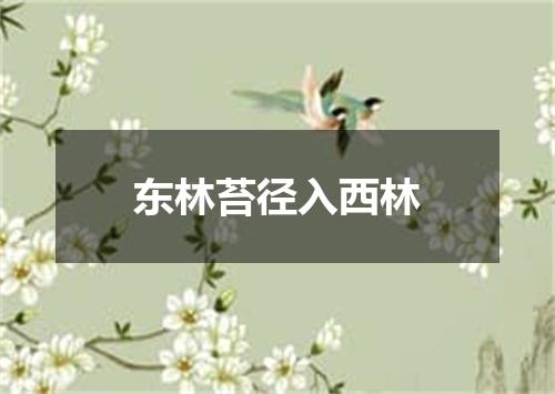 东林苔径入西林