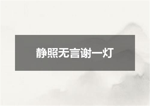 静照无言谢一灯