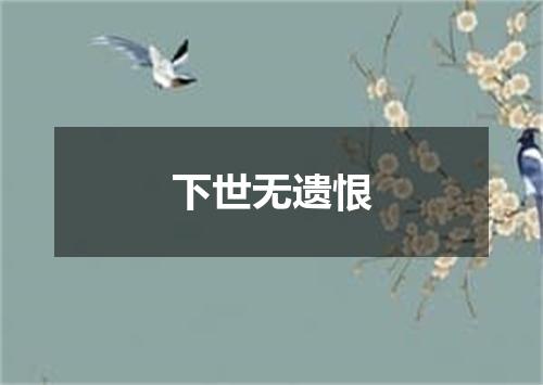 下世无遗恨