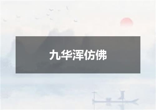 九华浑仿佛