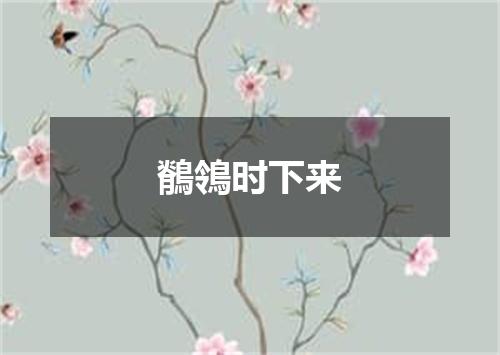 鶺鴒时下来