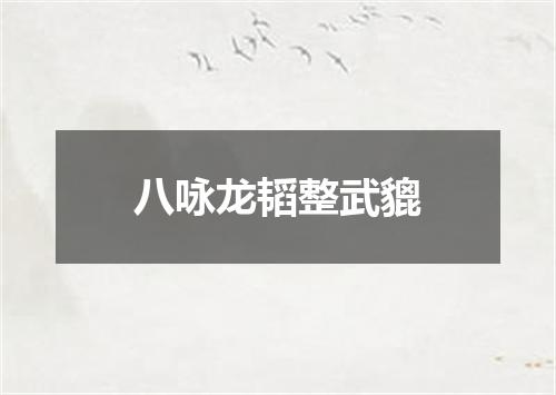 八咏龙韬整武貔