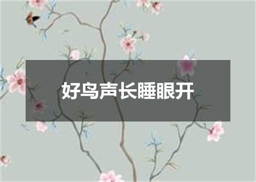 好鸟声长睡眼开