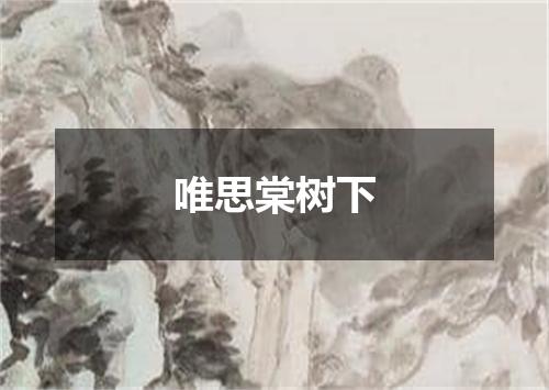 唯思棠树下