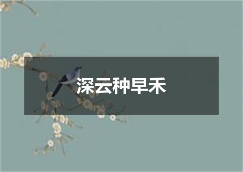 深云种早禾