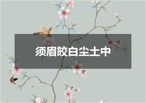 须眉皎白尘土中