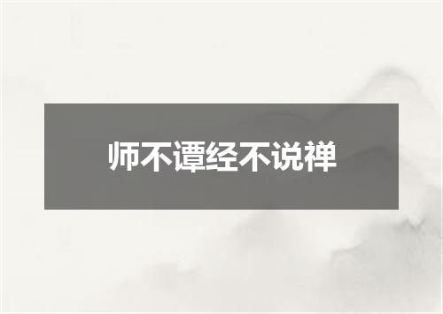 师不谭经不说禅