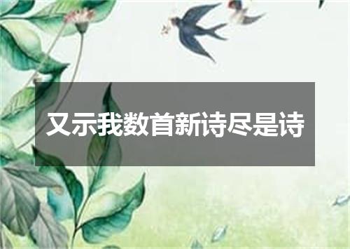 又示我数首新诗尽是诗